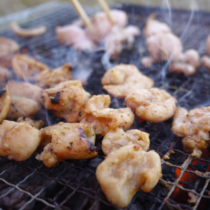 キャンプでホルモン焼きはあり