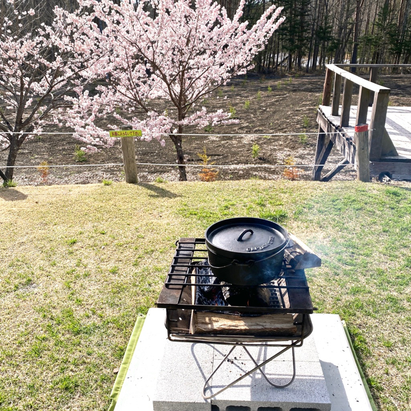 桜とダッチオーブンと焚火