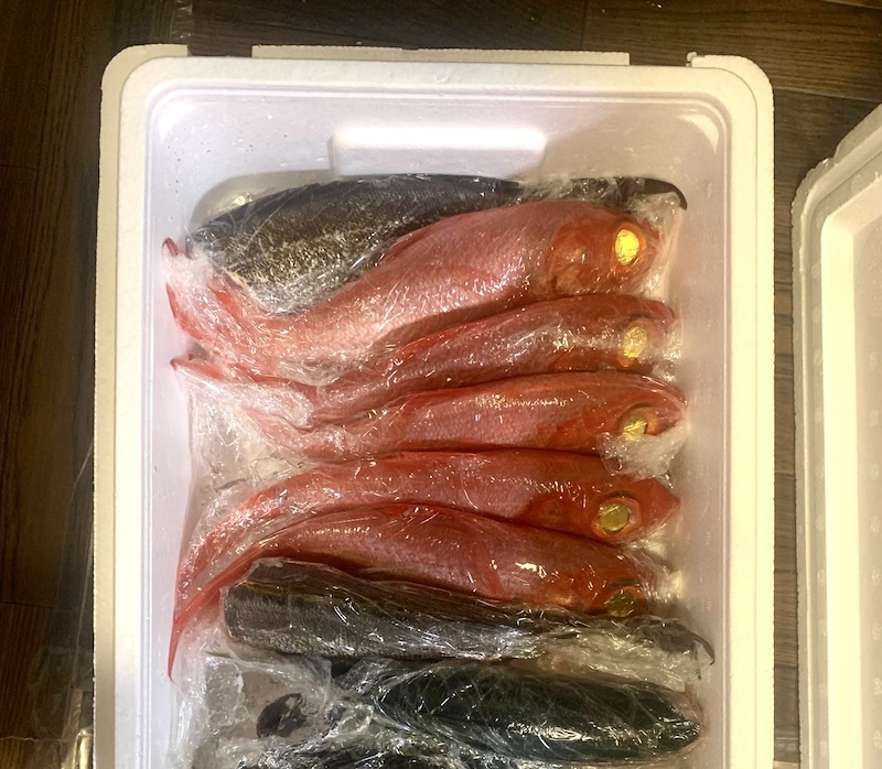 金目鯛がやってきた