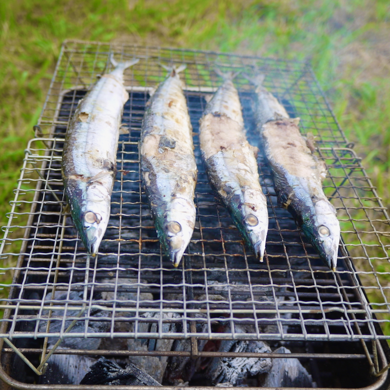 秋刀魚を炭火で焼いてみた