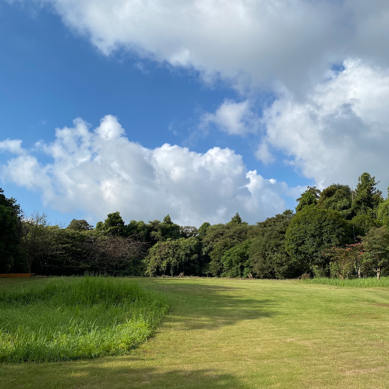 ogawaGRANDlodge Fieldのグリーン側のテントサイト