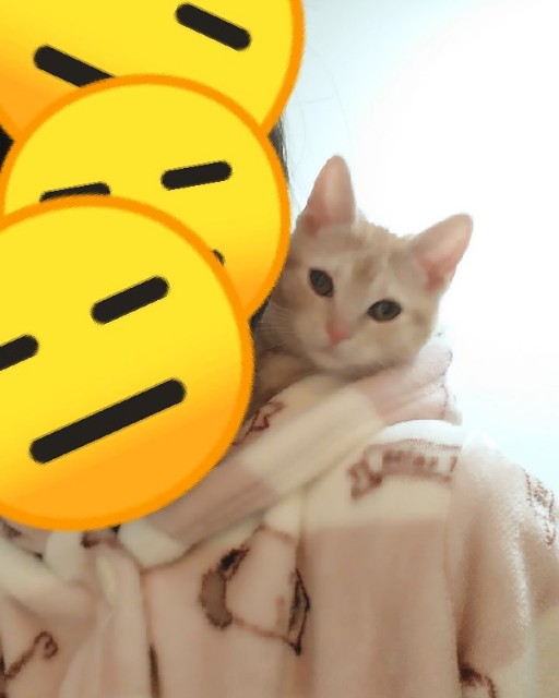 f:id:aozoranikki:20190415090441j:image