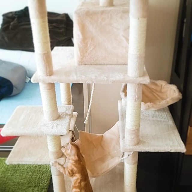 f:id:aozoranikki:20190415090853j:image