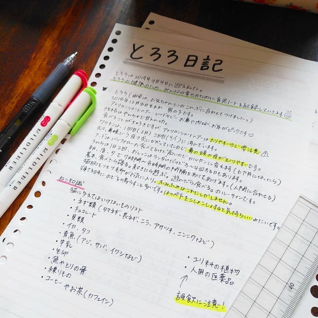 f:id:aozoranikki:20190415091332j:image