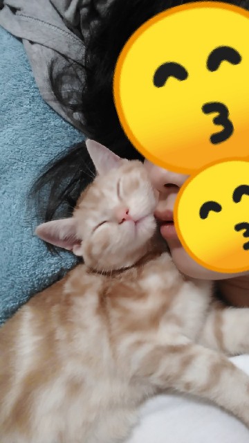 f:id:aozoranikki:20190424203325j:image