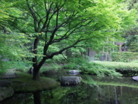 f:id:ap-light:20150614122204j:image