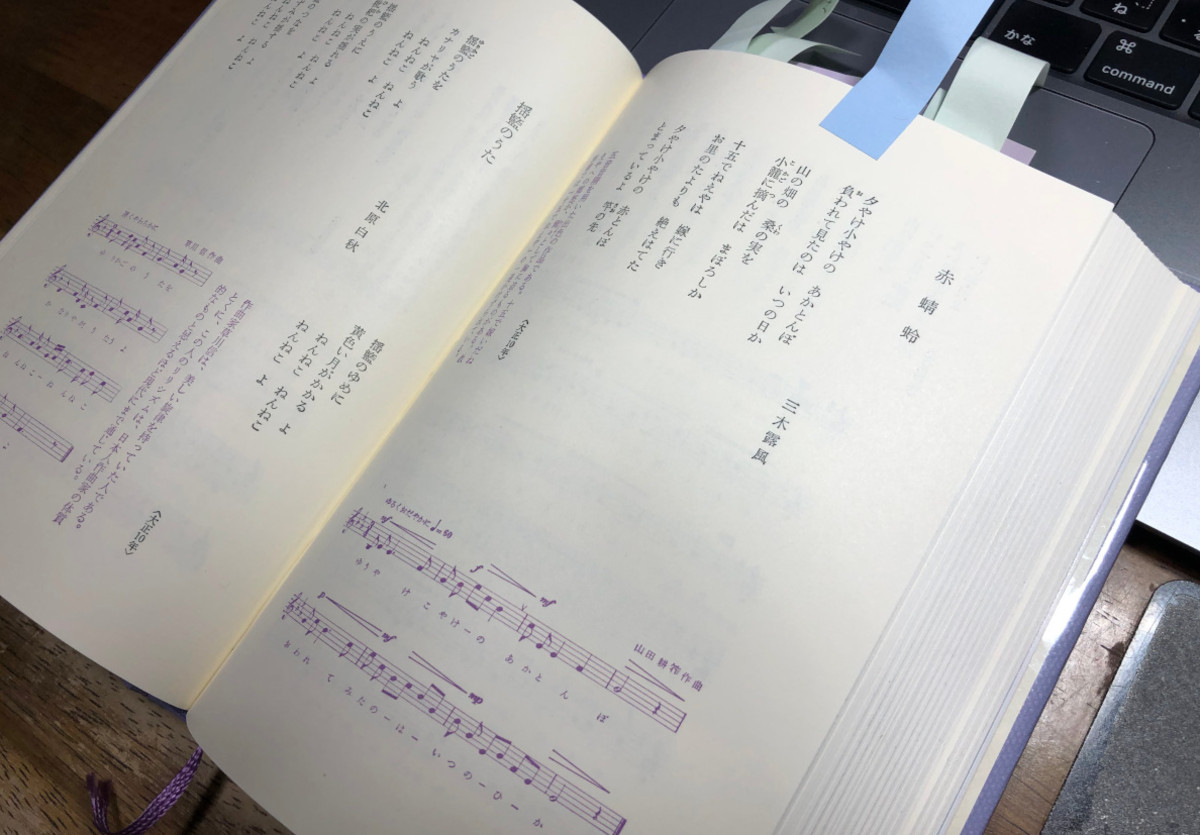 赤トンボの季節 全集物は別巻が面白い？ 〜「日本の詩歌」別巻 日本
