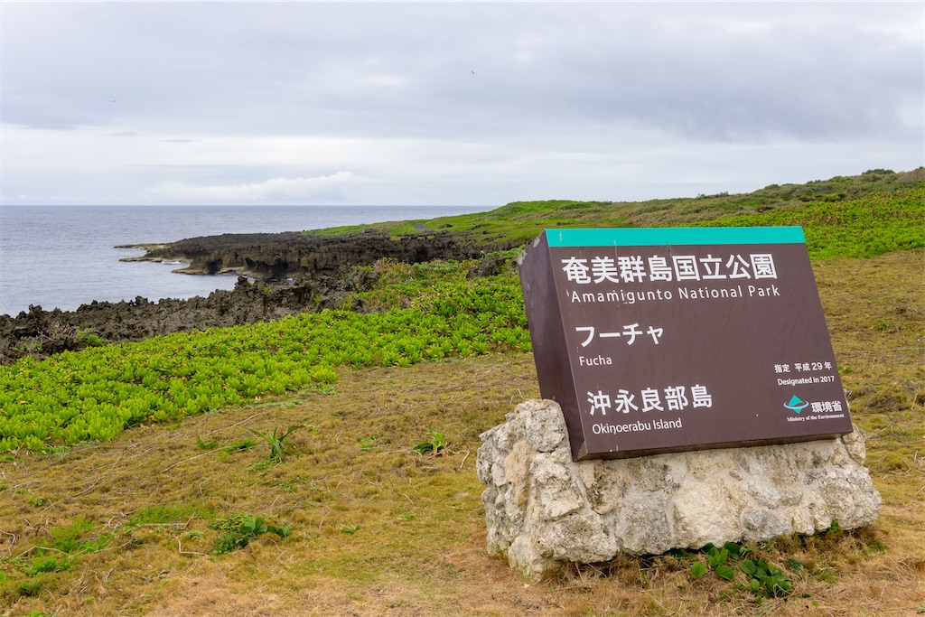 f:id:apa_4521:20230806141305j:image