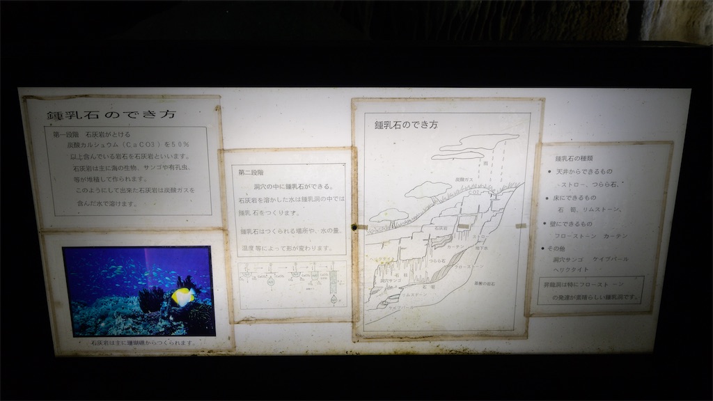 f:id:apa_4521:20230808131755j:image
