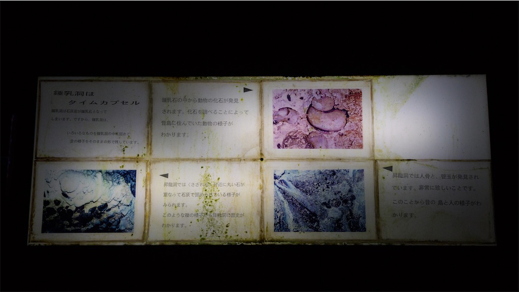 f:id:apa_4521:20230808131830j:image