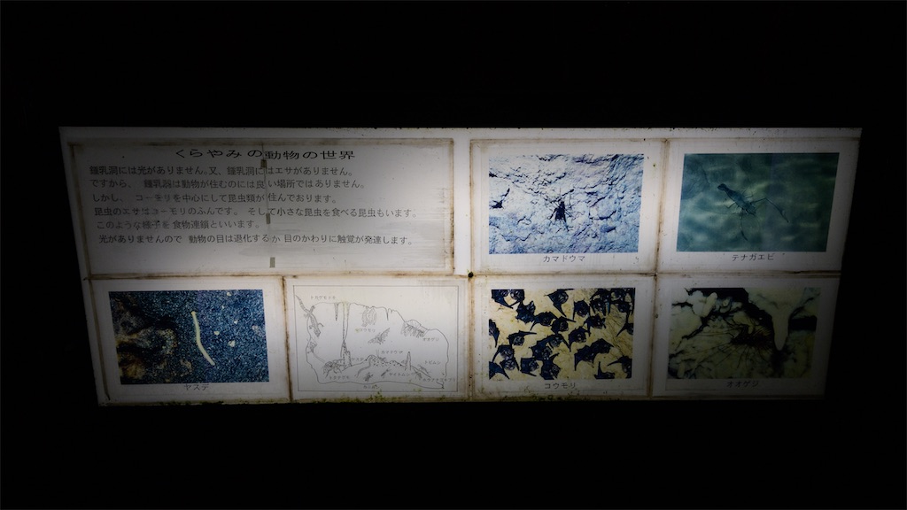 f:id:apa_4521:20230808131841j:image