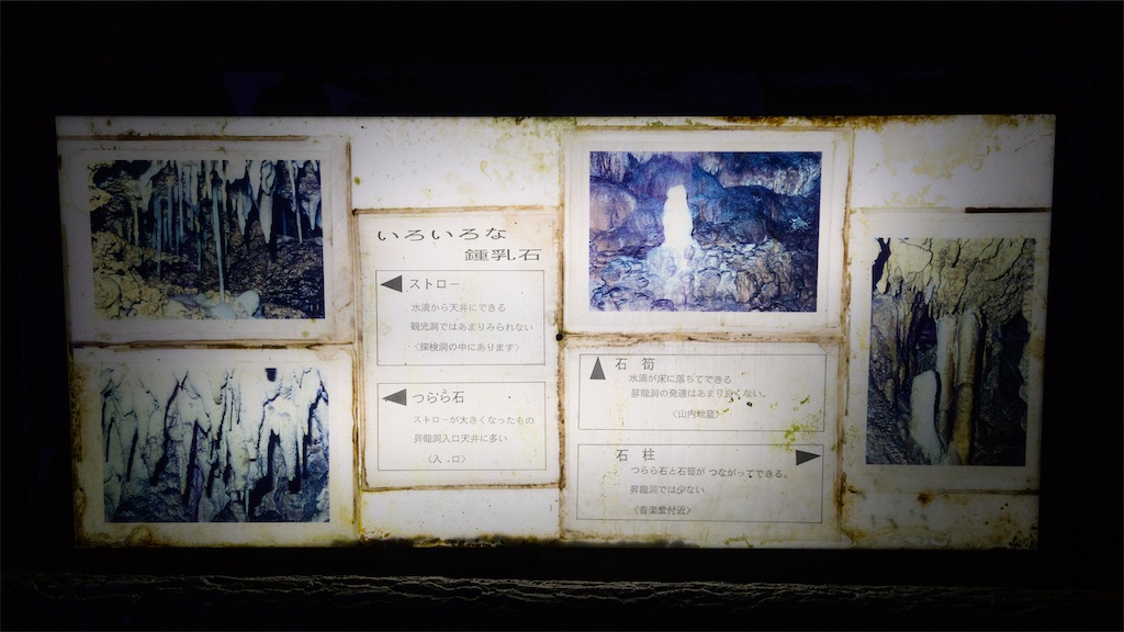 f:id:apa_4521:20230808131855j:image