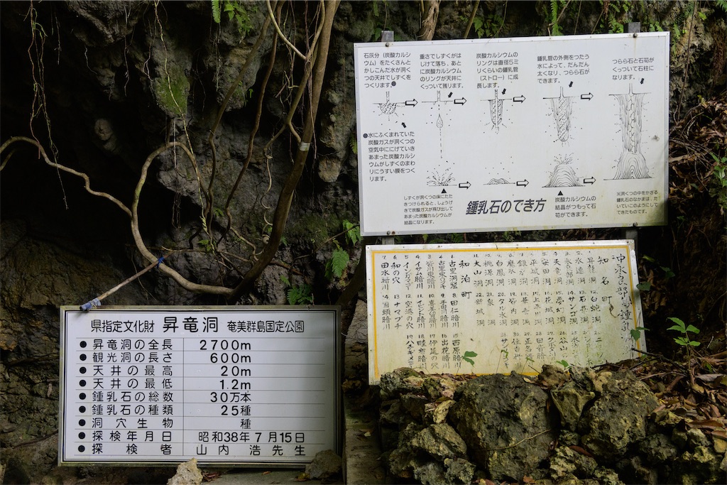 f:id:apa_4521:20230808131923j:image
