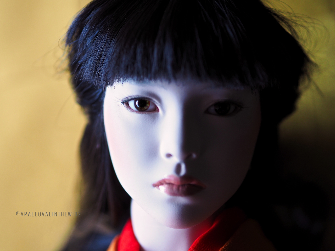 f:id:apaleovalinthewi02:20190211121602j:plain