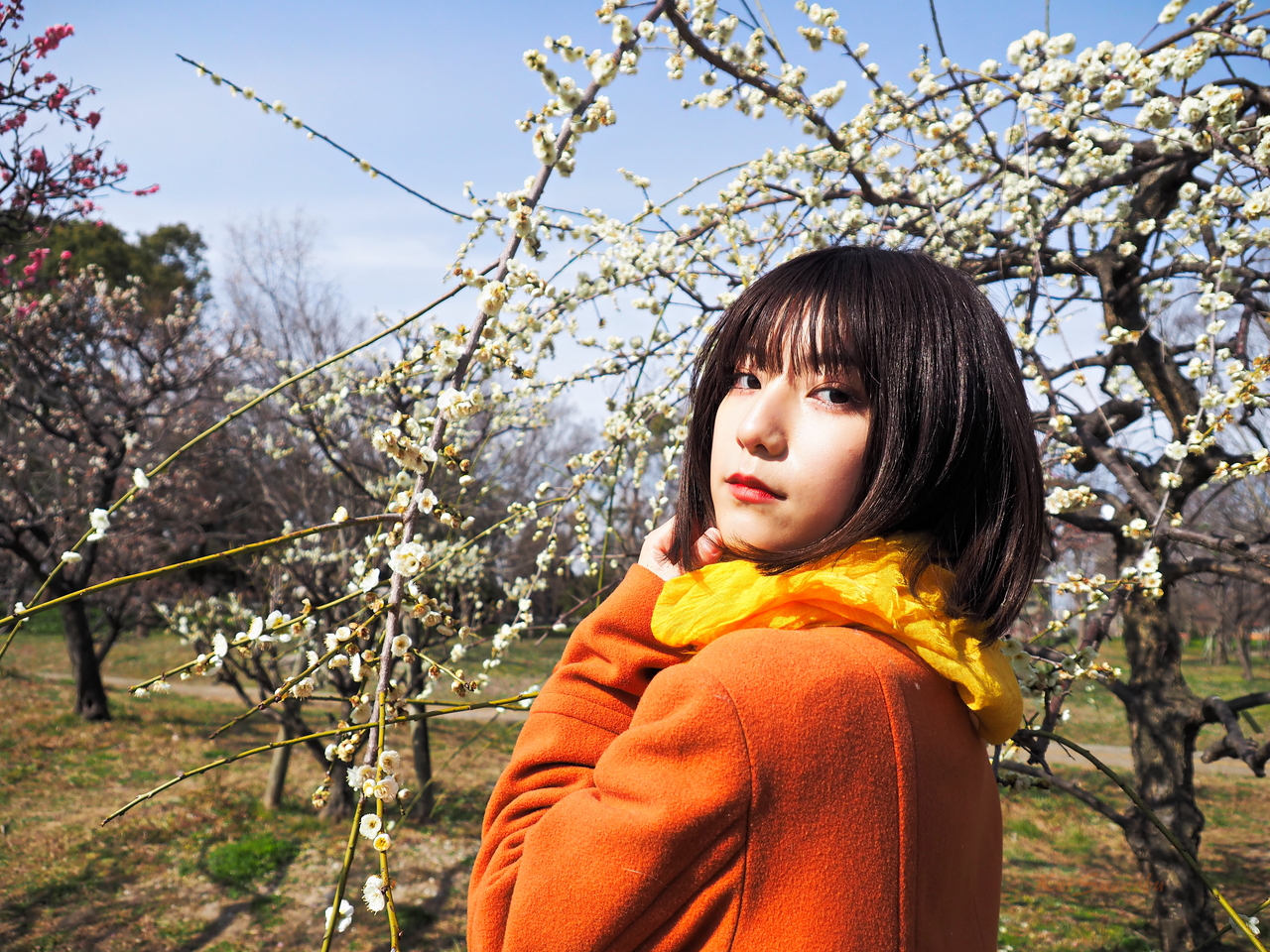 f:id:apaleovalinthewi02:20200224104801j:plain