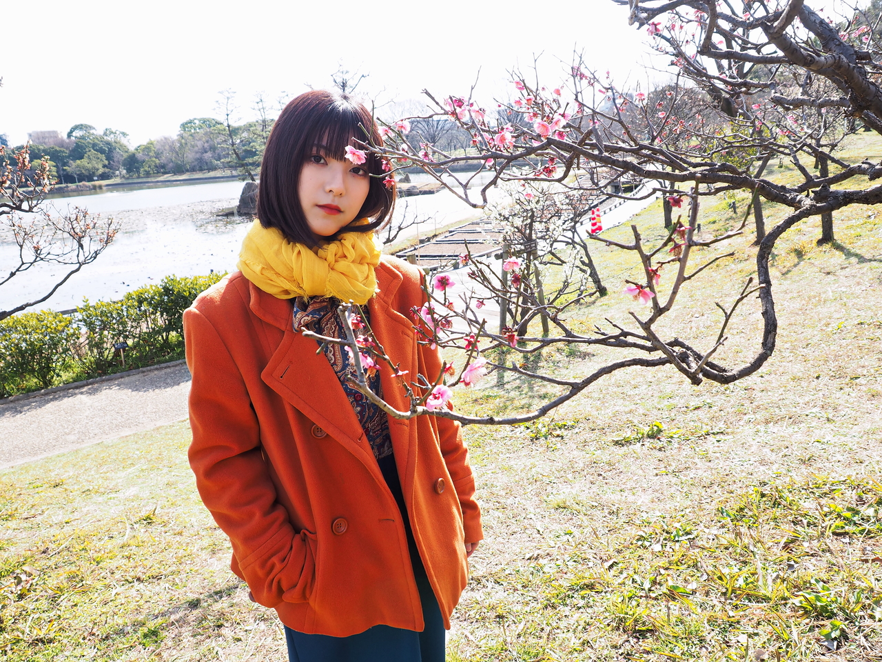 f:id:apaleovalinthewi02:20200224104807j:plain