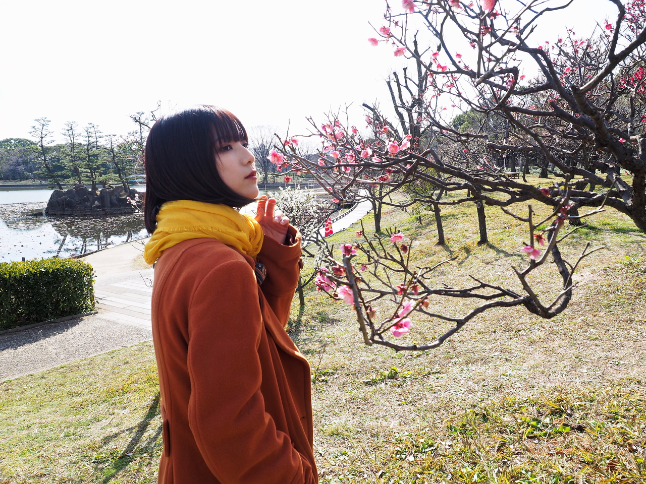 f:id:apaleovalinthewi02:20200224104813j:plain