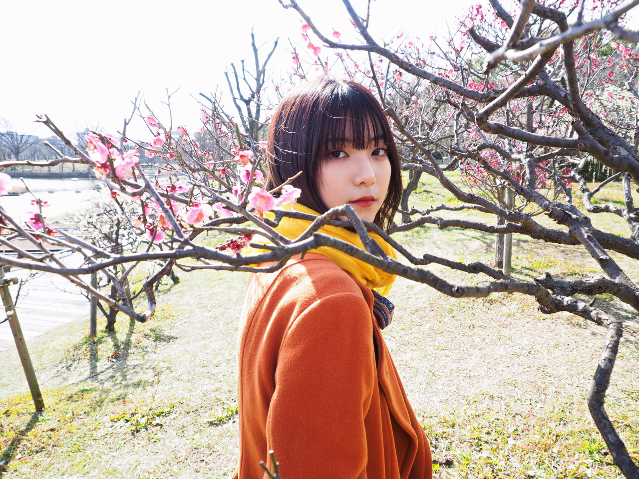 f:id:apaleovalinthewi02:20200224104819j:plain