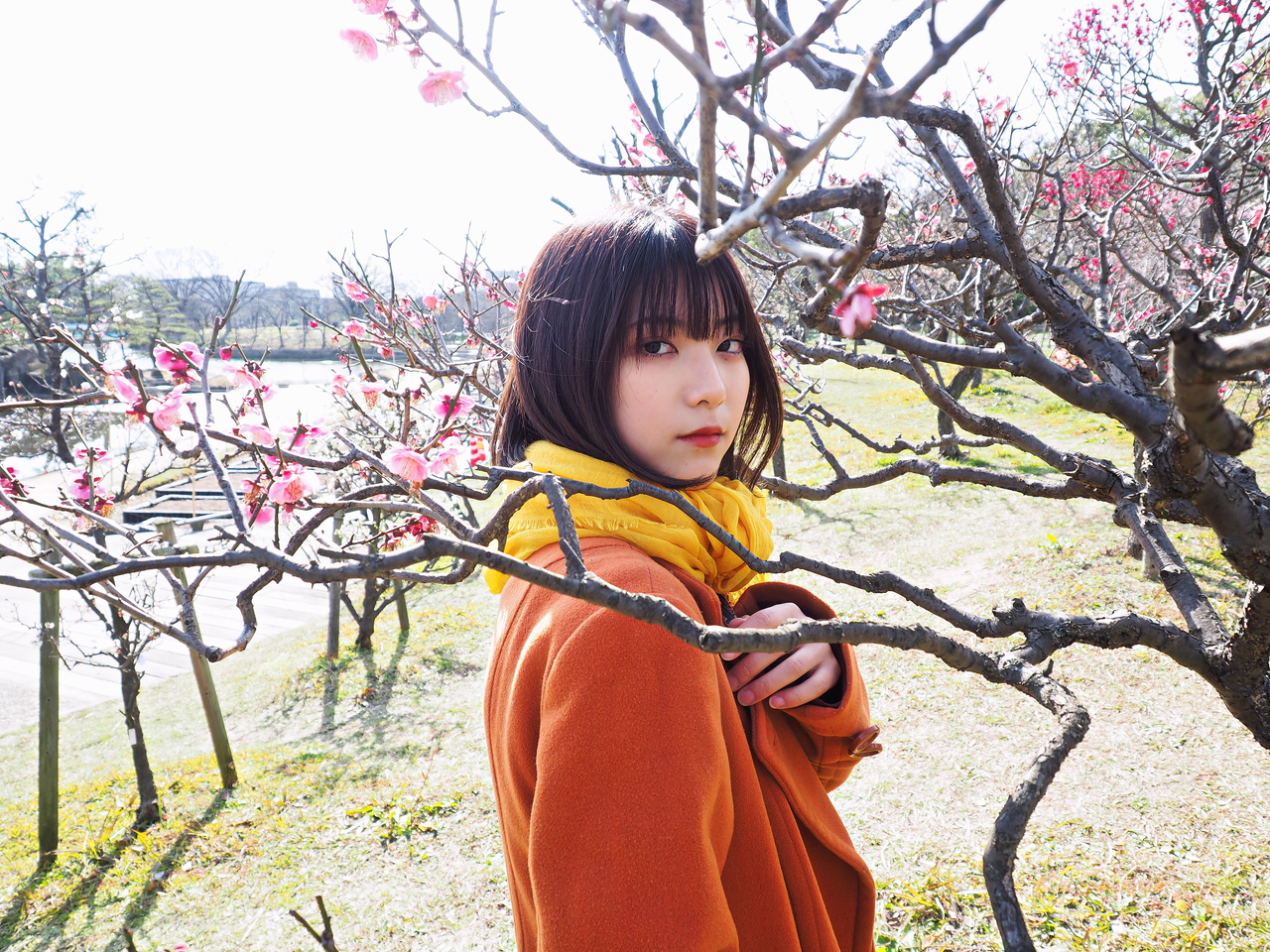 f:id:apaleovalinthewi02:20200224104830j:plain