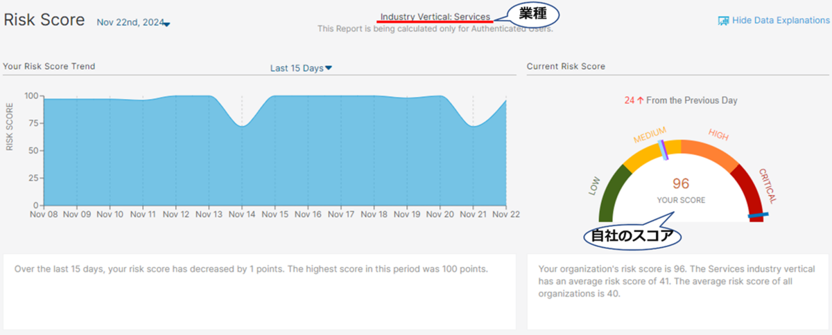 Comapany Risk Score Report