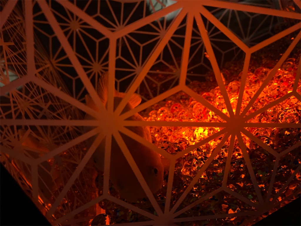 f:id:apchan0802:20230821083114j:image