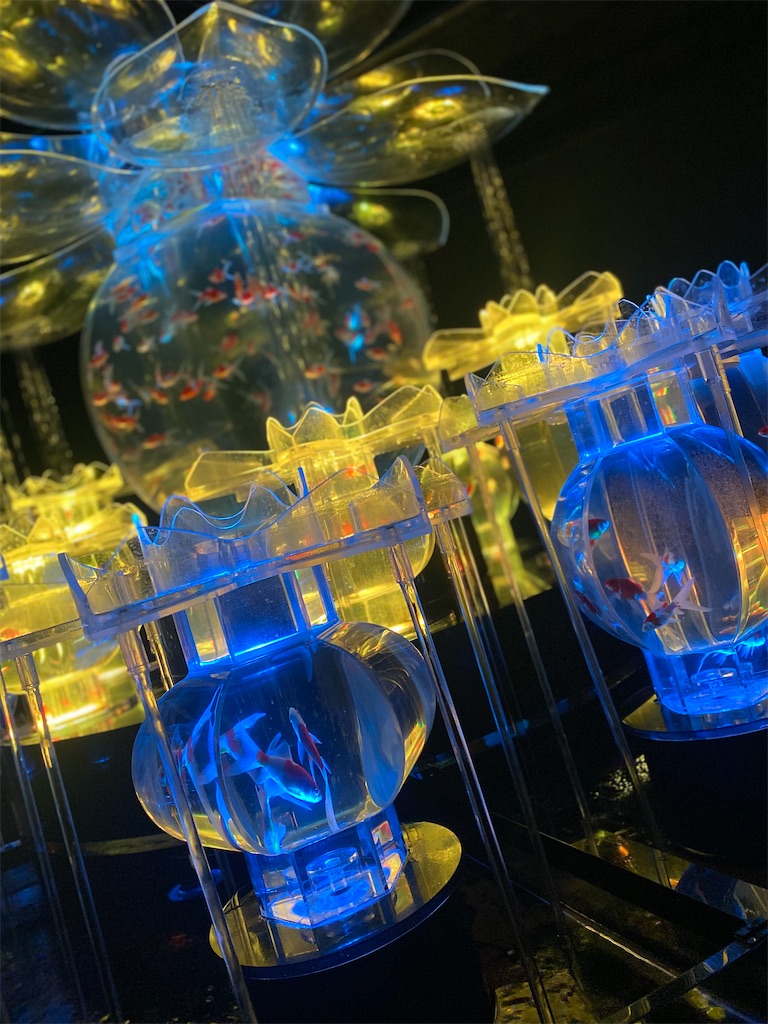 f:id:apchan0802:20230821083121j:image