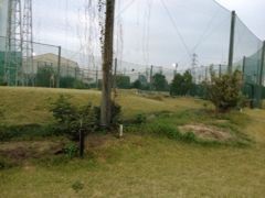 f:id:apes1048:20111113233441j:image
