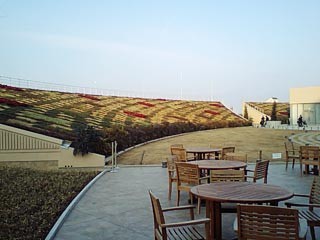 f:id:apesnotmonkeys:20090117172449j:image