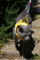 f:id:apesnotmonkeys:20090303213446j:image:small