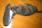 f:id:apesnotmonkeys:20090314191058j:image:small