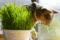 f:id:apesnotmonkeys:20090509102008j:image:small