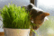 f:id:apesnotmonkeys:20090509102011j:image:small