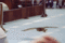 f:id:apesnotmonkeys:20090609185654j:image:small