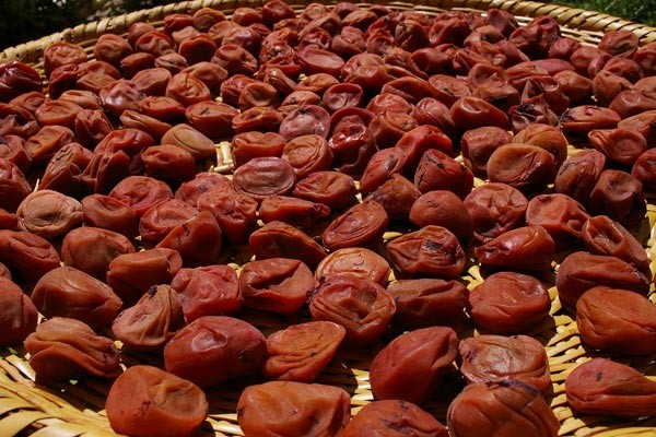 f:id:apesnotmonkeys:20090814141006j:image