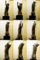 f:id:apesnotmonkeys:20100228142614j:image:small