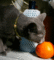 f:id:apesnotmonkeys:20100228142754j:image:small