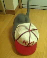 f:id:apesnotmonkeys:20100325183316j:image