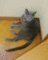 f:id:apesnotmonkeys:20100505105338j:image:small