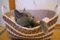 f:id:apesnotmonkeys:20100706112835j:image:small