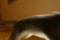 f:id:apesnotmonkeys:20100718230654j:image:small