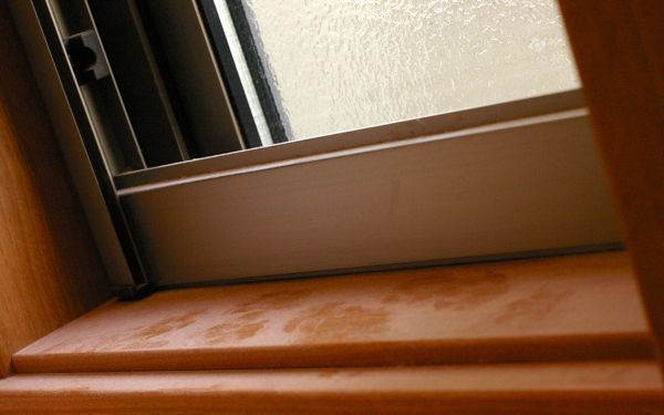 f:id:apesnotmonkeys:20101225112717j:image