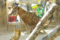 f:id:apesnotmonkeys:20110329163307j:image:small