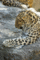 f:id:apesnotmonkeys:20110329163739j:image:small