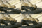 f:id:apesnotmonkeys:20110329163852j:image:small