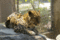 f:id:apesnotmonkeys:20110329164054j:image:small