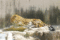 f:id:apesnotmonkeys:20110329164114j:image:small