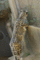 f:id:apesnotmonkeys:20110329164232j:image:small