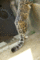 f:id:apesnotmonkeys:20110329164259j:image:small