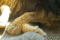 f:id:apesnotmonkeys:20110329164549j:image:small
