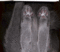 f:id:apesnotmonkeys:20130129151718j:image:small